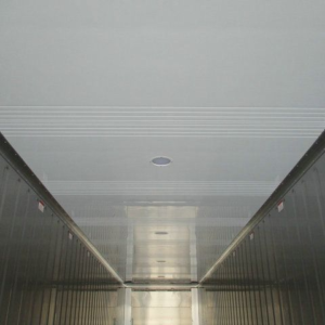 Gebrauchte 40ft Kühlcontainer